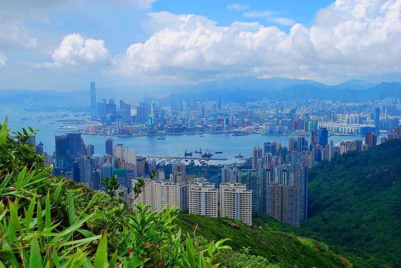 Views of Hong Kong from the MTR train